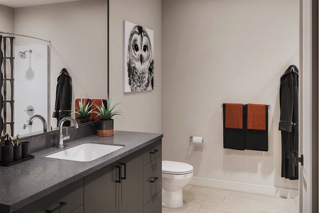 a bathroom with a sink and a toilet and a mirror